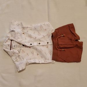 dress shirt + shorts outfit